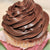 ***Gluten-Free, Nut-Free Yellow Cupcake with Heritage Chocolate Icing*** (GF, NF)