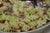 Gluten-Free Egyptian Tomato and Cucumber Pasta Salad