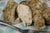 Gluten-Free Rosemary Chicken