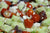 Feta, Tomato, and Cucumber Salad (Gluten-Free, Vegetarian)