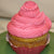 ***Gluten-Free, Nut-Free Yellow or Chocolate Cupcakes with Buttercream Icing*** (GF, NF)